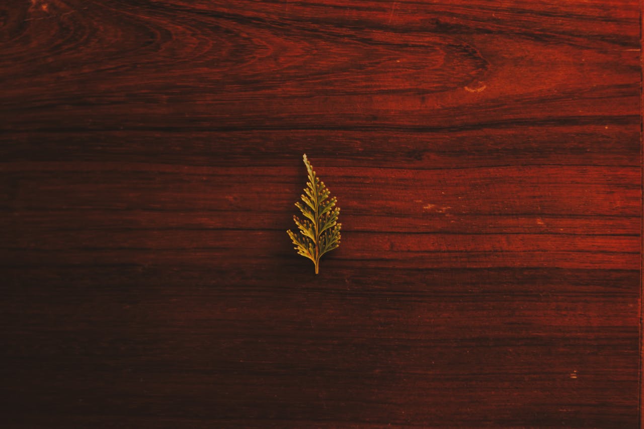 Crafting Captivating Headlines: Your awesome post title goes here A single leaf on a textured wooden surface with a warm, rustic feel.